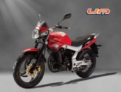 2010 UM Xtreet 180 photo